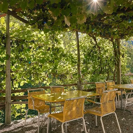 Osteria Gruetli Con Borgnone